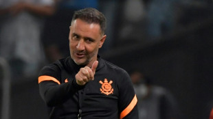 Wolves appoint Vitor Pereira as head coach