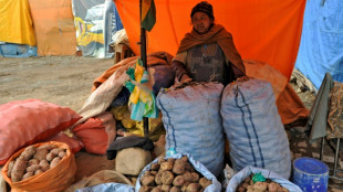 Drought and frost batter vital potato crops in Bolivia