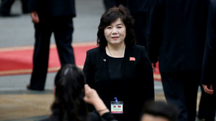 N. Korea appoints veteran diplomat as first female foreign minister
