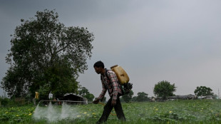 Los pesticidas agravan la crisis climática, apuntan oenegés británicas