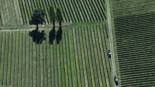 Saint-Emilion: un autre grand château se retire du classement