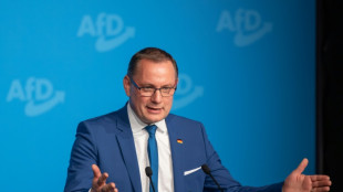 Europawahl: AfD-Parteichef Chrupalla spricht von "super Ergebnis"