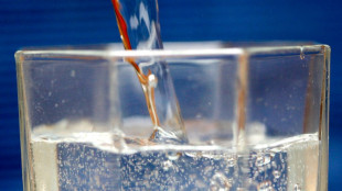 Stiftung Warentest: Viele Bestnoten im Mineralwasser-Test