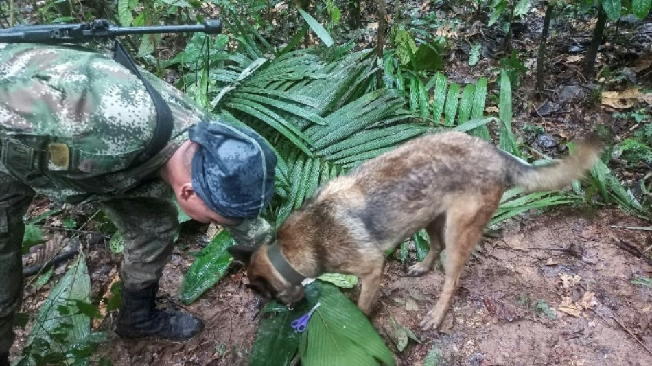 Petro se retracta de su anuncio sobre rescate de niños indígenas en la selva colombiana