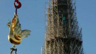 Golden rooster fitted to spire of Paris's Notre Dame cathedral