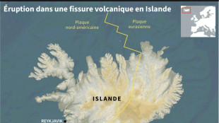 Islande: éruption dans une fissure volcanique près de Reykjavik