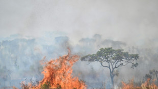 Firefighters battling flames around Brazil's capital