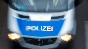 Betrunkener Fahrer von Pferdetransporter schläft auf Autobahn-Seitenstreifen