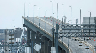 What is the economic impact of the Baltimore bridge collapse?