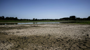 La sécheresse met à l'épreuve les pisciculteurs de la Dombes