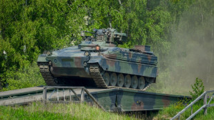 Presse: Industrie beantragt Ausfuhr von 100 Marder-Schützenpanzern an Ukraine