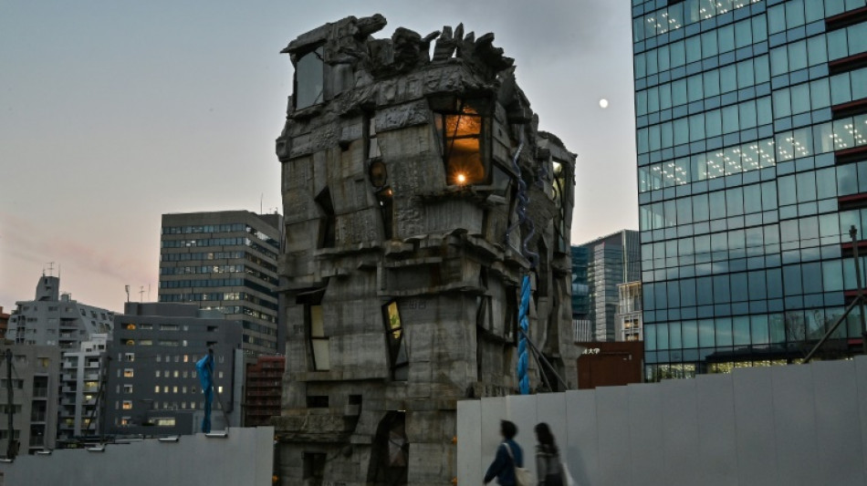 Hand-built fantasy tower brings value to Tokyo, creator says