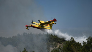 Grèce: l'incendie dans le parc national de Dadia toujours "hors de contrôle"