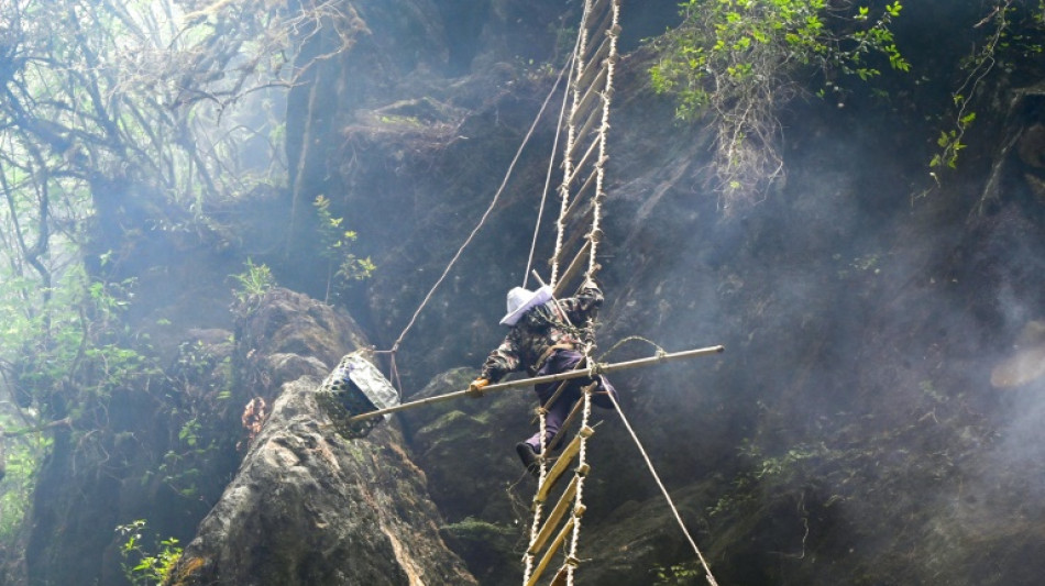 Sticky future: climate change hits Nepal's honey hunters