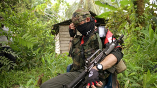 Avec le "Front de guerre occidental" de l'ELN, la plus grande guérilla de Colombie