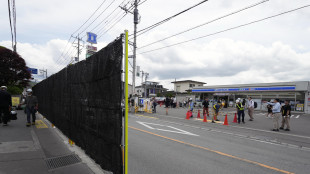 Giappone: troppi turisti, città copre panorama Monte Fuji