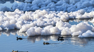 Como del "lavarropas", espuma tóxica cubre un río del sureste de Brasil