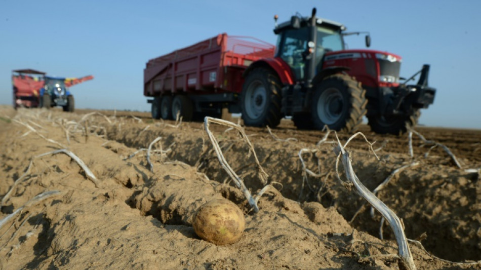 App soll Landwirten beim Pflanzenschutz helfen