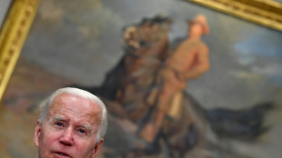 Biden, fragile at home, faces historic leadership task in Europe