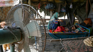 Heatwaves will make regions uninhabitable within decades: UN, Red Cross