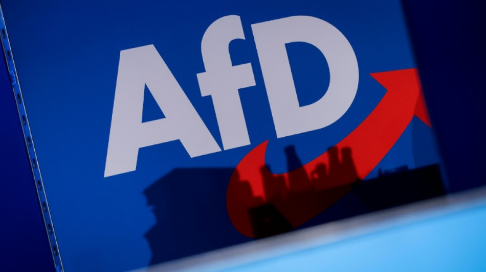 "Welt": Christine Anderson neue Leiterin der AfD-Delegation im Europaparlament