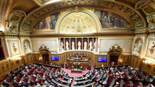 Feu vert du Sénat au projet de loi sanitaire, avec possibilité de contrôle des voyageurs