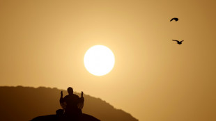 Marée de fidèles au mont Arafat, étape phare du grand pèlerinage musulman 