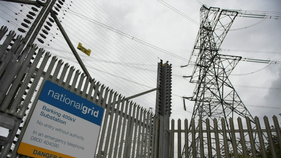 UK electricity grid set for 'unprecedented' £35 bn investment