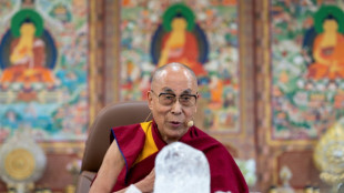 Dalai Lama urges move to renewable energy to combat climate crisis