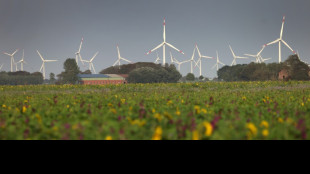 Umfrage: Klimaschutzfragen für Wähler in Deutschland tendenziell weniger bedeutend