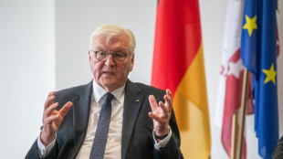 Brügge-Rede: Steinmeier ruft zu Kampf für Europa auf