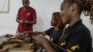 Au Mozambique, des cigares "100% produits en Afrique"