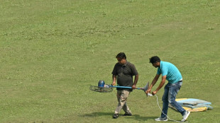 'Huge mess': Electric fans used in bid to save Afghanistan-NZ Test