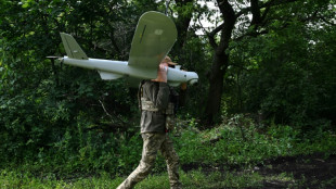 Des drones "made in Ukraine" pour une artillerie en mode "sniper"