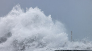 Taïwan se barricade à l'approche du typhon Kong-rey