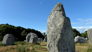 Vier Menschen in der Bretagne von Hinkelstein verletzt