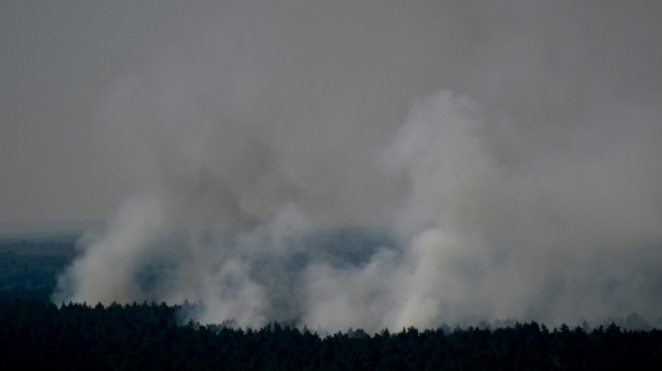 Feuerwehr beginnt mit Löschen von Großbrand in Berliner Grunewald 