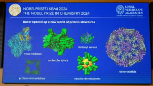 What are proteins again? Nobel-winning chemistry explained