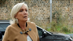 Procès du RN: à la barre, Marine Le Pen tourne autour du dossier