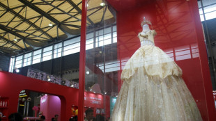 Vestidos de gala, robots y clones en una feria de mascotas en China