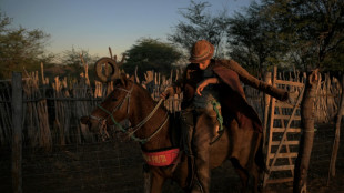 In Lula's home state, Brazilian rodeo riders lean left