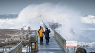 Lindners Vorstoß zu Öl- und Gasförderung in Nordsee stößt bei Grünen auf Bedenken